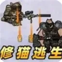 我是猫猫