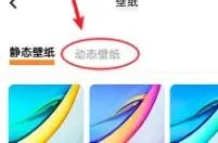 vivoy76s怎么设置动态壁纸-应用教程