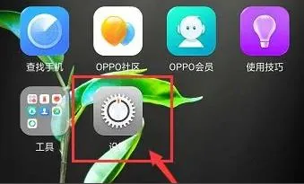 怎么恢复出厂设置oppoa5详细教程-应用教程