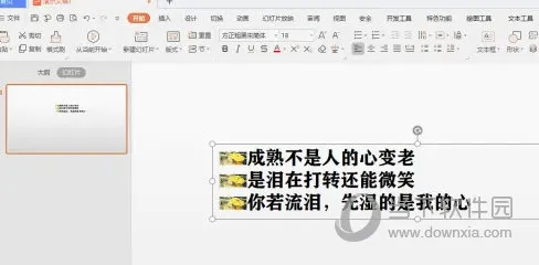 WPS2019怎么把图片设置成项目符号 看完你就知道了