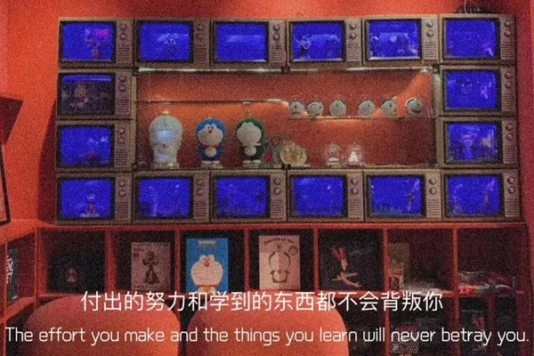 付出和努力学到的东西都不会背叛你图片-应用教程