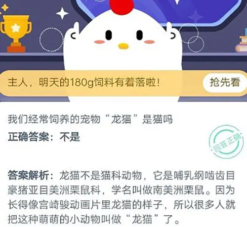 饲养的宠物龙猫是猫吗 支付宝蚂蚁庄园10月19日答案-支付宝教程