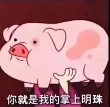 你就是我的掌上明珠表情包-应用教程