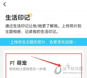 伊对APP怎么添加宠物 晒出你的爱宠