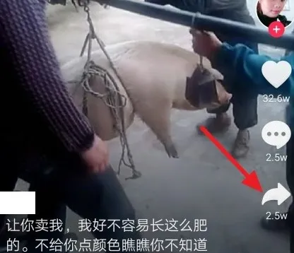 《抖音》怎么保存别人视频-抖音教程