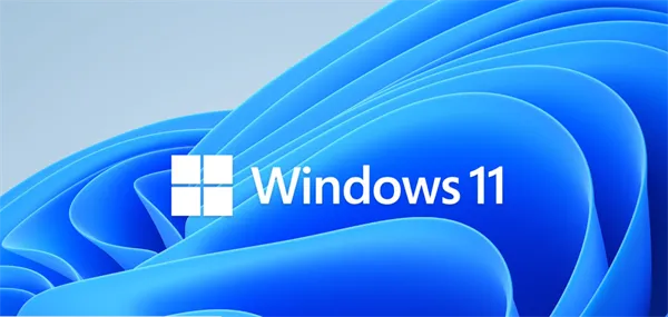 windows11家庭版和专业版有什么区别-应用教程