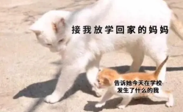 你知道的我从小就离开了妈妈是什么歌 你知道的我从小就离开了妈妈梗是什么-应用教程