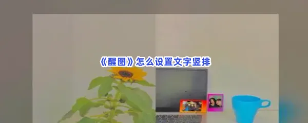 醒图怎么设置文字竖排-醒图设置文字竖排的流程一览