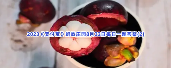 山竹的果脐像小花,