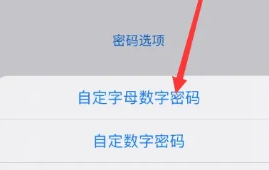 苹果15设置密码方法-应用教程
