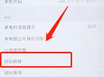 iphone呼叫转移怎么设置-应用教程
