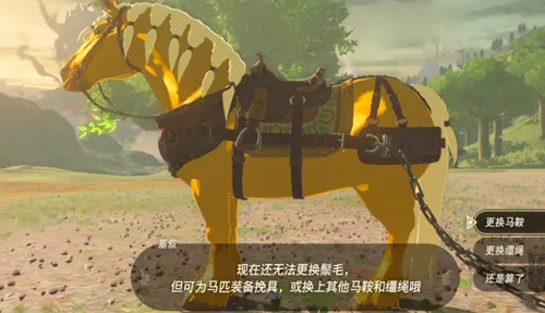 王国之泪牵引挽具怎么用-王国之泪牵引挽具使用攻略