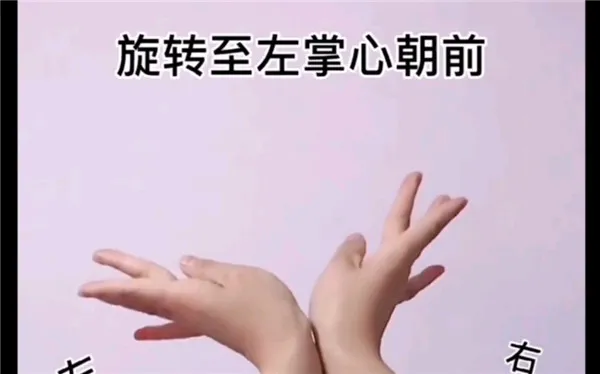 华务运动是什么意思 华务运动梗介绍-应用教程