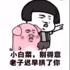 小白菜别得意老子迟早拱了你表情包-应用教程