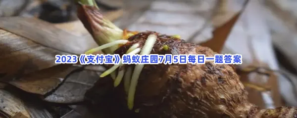 芋头发芽了还能吃吗-2023支付宝蚂蚁庄园7月5日每日一题答案