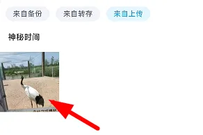 百度网盘的照片保存到手机相册教程-百度网盘教程
