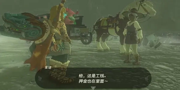 王国之泪10个玩偶在哪-王国之泪10个玩偶位置介绍
