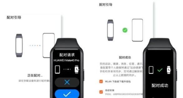 荣耀手环时间在什么地方调-应用教程
