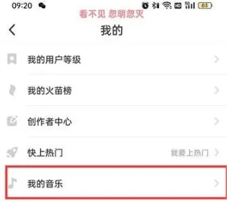 抖音火山版我的音乐在什么地方查看-抖音教程