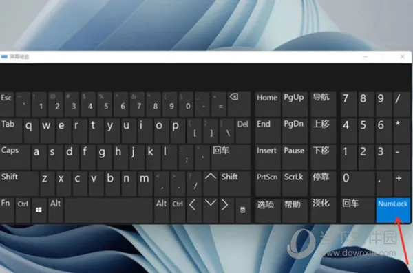 Windows11屏幕键盘打不开怎么办 键盘输入没反应解决方法