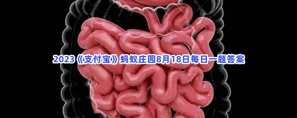 小鸡宝宝考考你:人体内最长的消化器官是?-2023支付宝蚂蚁庄园8月18日每日一题答案
