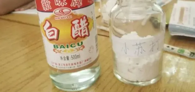 以下哪些材料有助于去除厨房下水道的异味?-2023支付宝蚂蚁庄园11月15日每日一题答案