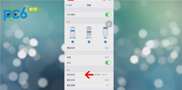 iPhone短信怎么样不显示内容-应用教程