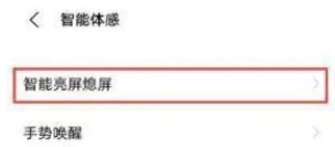 vivos9抬手亮屏在哪设置-应用教程