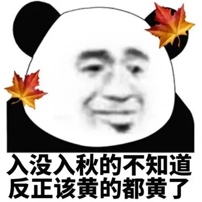 珍珠是美容的牛奶是补钙的茶是养生的表情包-应用教程