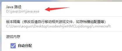hmcl启动器打不开-应用教程
