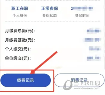 浙里办怎么查询社保缴费记录 全部记录都在这里