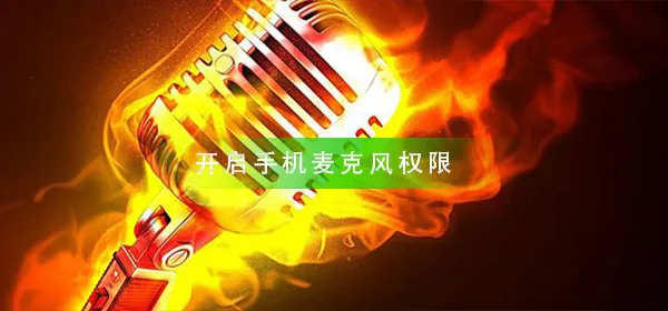 怎样开启手机麦克风权限设置-应用教程