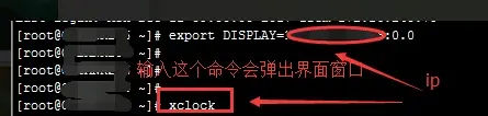 xmanager怎么使用-应用教程