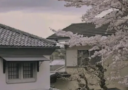 微信状态词都有哪些推荐-微信教程