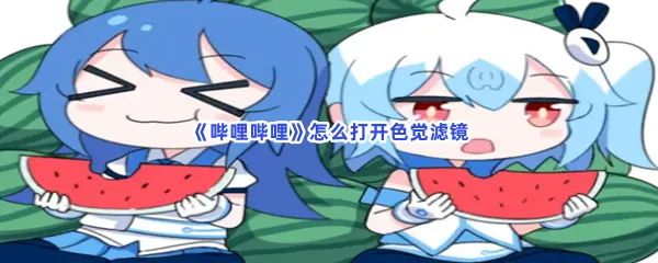 哔哩哔哩怎么打开色觉滤镜-哔哩哔哩打开色觉滤镜的流程一览