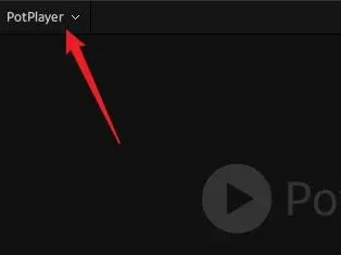 potplayer怎么切换语言-应用教程