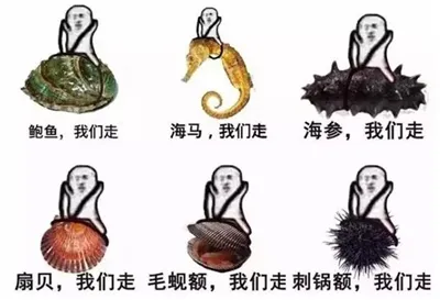 我的草原我的马我想咋耍就咋耍你懂个Der啊表情包-应用教程