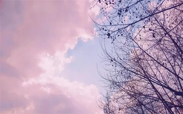 醒图怎么把多余的人p掉-醒图教程