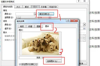 Word图片怎么固定位置 文本框帮你忙