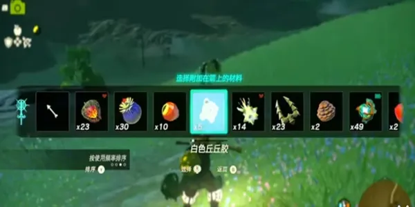 王国之泪怎么登记马匹-王国之泪骨头马可以登记吗