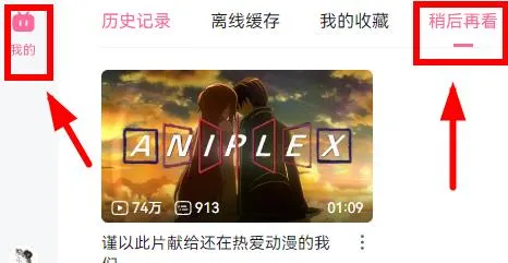 哔哩哔哩电脑版稍后再看在哪-哔哩哔哩教程