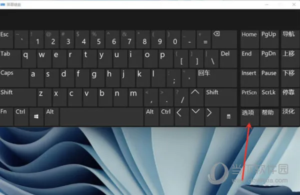 Windows11屏幕键盘打不开怎么办 键盘输入没反应解决方法