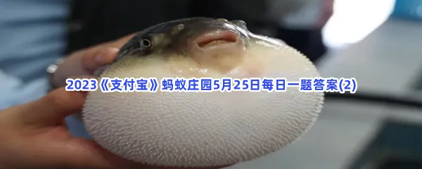 小鸡宝宝考考你:哪种鱼一碰到危险就会膨胀成球-2023支付宝蚂蚁庄园5月25日每日一题答案(2)