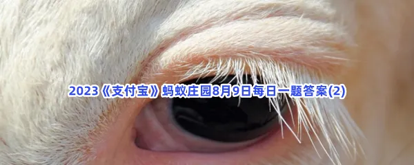 猜一猜:在牛的眼中,能看到什么颜色?-2023支付宝蚂蚁庄园8月9日每日一题答案(2)