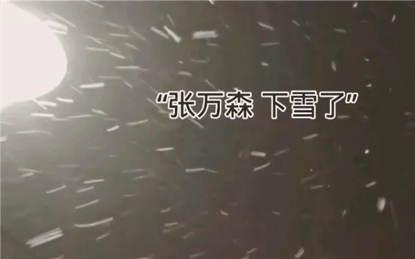 张万森下雪了什么意思 张万森下雪了是什么时候的梗-应用教程