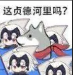 这布盒里表情包-应用教程