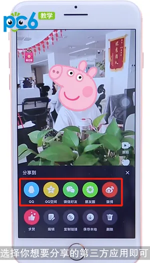 微视怎么分享-应用教程