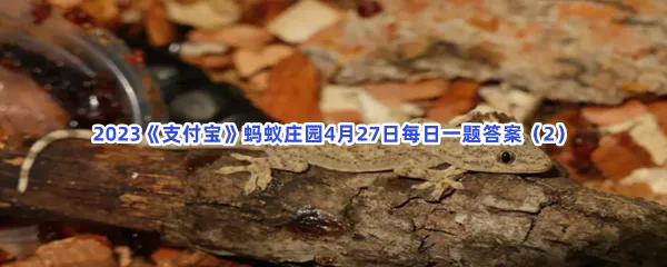 为什么壁虎可以飞檐走壁-2023支付宝蚂蚁庄园4月27日每日一题答案(2)