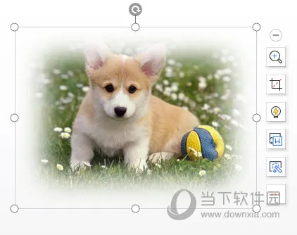 WPSPPT图片边缘怎么虚化 一个操作就行