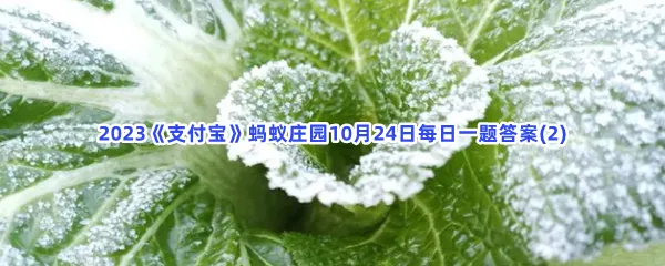 俗话说霜打的青菜分外甜,猜猜是为什么?-2023支付宝蚂蚁庄园10月24日每日一题答案(2)
